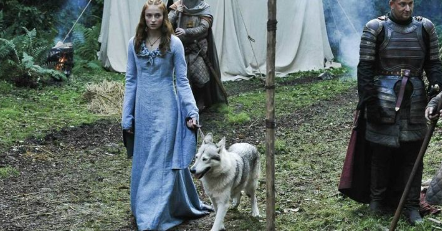 Sansa Stark’s Character Development: Sophie Turner Did A Brilliant Job By Playing Sansa Stark In GOT - 0