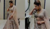 Sapna Choudhary Wore A Brown Lehenga With Silver Embroidered And We Can’t Stop Drooling