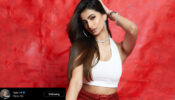 Shweta Tiwari’s daughter Palak Tiwari stun in shimmery midi skirt and white bralette, influencer Riaz Aly in love