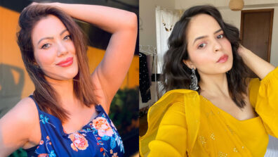 Swalala: TMKOC divas Munmun Dutta and Palak Sindhwani get playful with sensuous poses, see pics