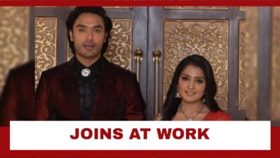 Tere Bina Jiya Jaye Na Spoiler Alert: Krisha decides to work with Devraj