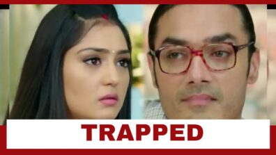 Tere Bina Jiya Jaye Na Spoiler Alert: Shocking!! Daksh traps Krisha inside a secret room