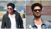 Top 6 Movies Of Shah Rukh Khan And Shahid Kapoor That You Must Watch
