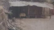 The Kashmir Files: Director Vivek Ranjan Agnihotri shares nostalgic childhood image of his house