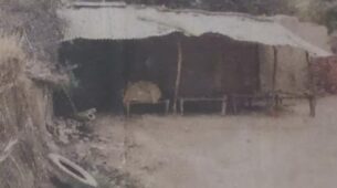 The Kashmir Files: Director Vivek Ranjan Agnihotri shares nostalgic childhood image of his house