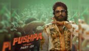 The Pushpa Myth Explodes, South Films Do Miserable Business In Hindi