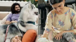 Vijay Deverakonda To Samantha Ruth Prabhu: South Actors Who Are Pet Lovers
