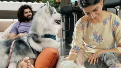 Vijay Deverakonda To Samantha Ruth Prabhu: South Actors Who Are Pet Lovers