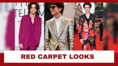 Timothée Chalamet and his coolest looks from Red Carpet