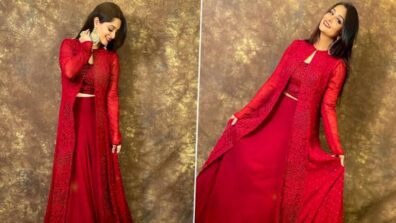 Top 5 Dresses Of Dipika Kakar That Are Perfect For Indian Weddings, Pictures Here