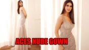 Vaani Kapoor Raises Heat As She Aces Nude Gown Like A Star