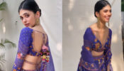 Viral Video: Sanjana Sanghi is quintessential muse to fall in love with, sets internet on fire in backless lehenga choli