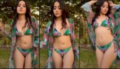 Watch: Bigg Boss OTT fame Urrfii Javed performs sensuous belly dance in bikini, video goes viral 578442