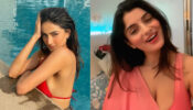 Weekend diaries: Palak Tiwari oozes with sass in pool, Anveshi Jain shows off her singing skills