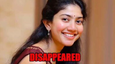 Why Has Sai Pallavi Disappeared From The Industry?