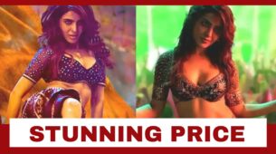 You Will Be Stunned To Know The Price Samantha Ruth Prabhu Charged For Her Pushpa’s Dance Number