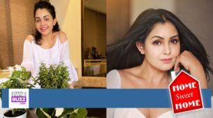 A dream house is the one that looks more relaxing: Shubhangi Atre