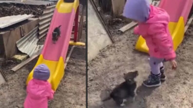 A Toddler Is Seen Playing With A Puppy, The Video Is Too Adorable To Pass Up