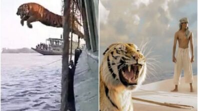 A Viral Video Of A Tiger Tumbling From A Watercraft Has Internet Users Thinking Of Richard Parker From The Film “Life Of Pi”