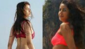 Disha Patani And Katrina Kaif Are The Best Of Bikini Babes Of Bollywood And Here’s Proof