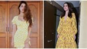 Alia Bhatt Or Disha Patani: Who Wore The Yellow Floral Dress Better?
