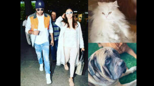 Alia Bhatt shares love cues, calls herself ‘dog’ and BF Ranbir Kapoor ‘cat’