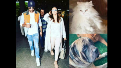 Alia Bhatt shares love cues, calls herself ‘dog’ and BF Ranbir Kapoor ‘cat’