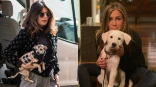 Jennifer Aniston To Priyanka Chopra: Celebrities Who Are Parents To Their Pets