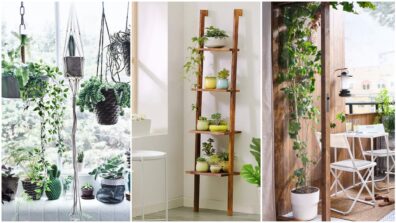 Home-Decor Tip: These Plants Will Make Your Balcony Look Even More Graceful