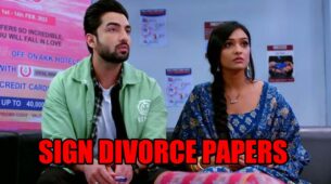 Bhagya Lakshmi spoiler alert: Lakshmi and Rishi sign divorce papers