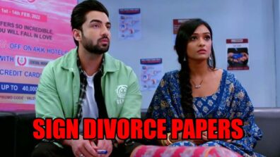 Bhagya Lakshmi spoiler alert: Lakshmi and Rishi sign divorce papers