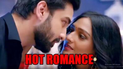 Bhagya Lakshmi spoiler alert: Lakshmi and Rishi’s SIZZLING romance