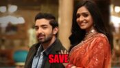 Bhagya Lakshmi spoiler alert: Lakshmi jumps into the pool to save Rishi
