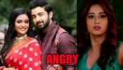 Bhagya Lakshmi spoiler alert: Rishi’s love for Lakshmi makes Malishka angry