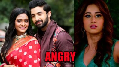 Bhagya Lakshmi spoiler alert: Rishi’s love for Lakshmi makes Malishka angry