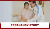 Bharti Singh Shares Her Pregnancy Story On YouTube: Records Her Daily Life