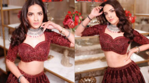 Bigg Boss diva Jasmin Bhasin turns muse in maroon red lehenga, Krishna Mukhrjee goes fire