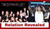 BLACKPINK, Twice & Red Velvet Relation Revealed: Read