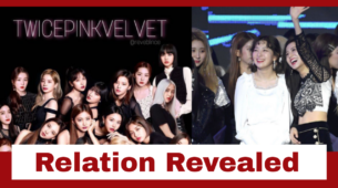 BLACKPINK, Twice & Red Velvet Relation Revealed: Read
