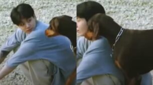 BTS Jungkook’s adorable cuddle moment with his dog will win you over, watch