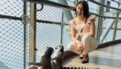 Chilling With Animals: Erica Fernandes shares sneak-peek into Dubai lifestyle, spends time with wild Lemurs