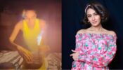 Erica Fernandes gets pre-birthday treat from someone special, see video