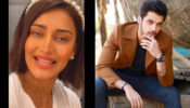 Erica Fernandes turns ‘drama queen’ in real life, Parth Samthaan gives flying kiss saying, “now that’s interesting…”