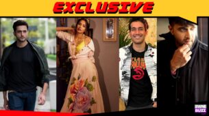 Exclusive: Sahil Mehta, Harman Singha, Anjali Barot, Aadil Khan bag Hotstar series Project Hawks