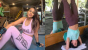 Fitness Queens: Nia Sharma vs Mallika Sherawat will make you sweat with workout moments, check ASAP