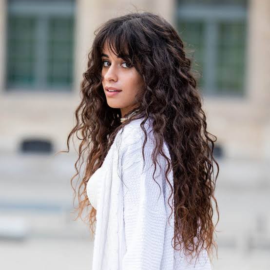 From Zendaya To Camila Cabello: We Cannot Take Our Eyes Off These Curls - 1