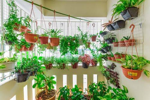 Gardening Ideas For Small Balcony - 2