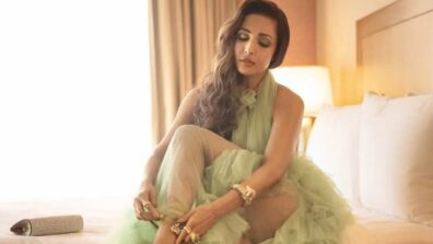 Malaika Arora In A Road Accident