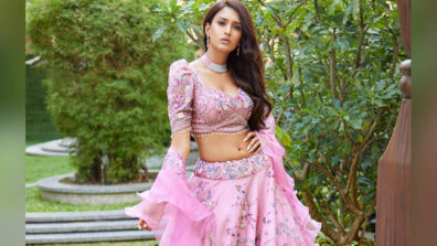 Gorgeous babe Erica Fernandes dazzles in pink ethnic wear, fans sweat seeing curvaceous midriff