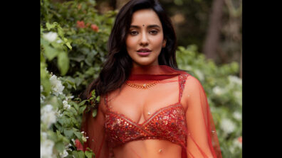 Haye Garmi: Neha Sharma sets temperature soaring in transparent, deep-neck salwar and dupatta, fans sweat